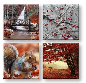 Obraz na stenu Beauty of Autumn 40x40 cm