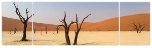 Obraz púšte (Obraz 170x50cm)