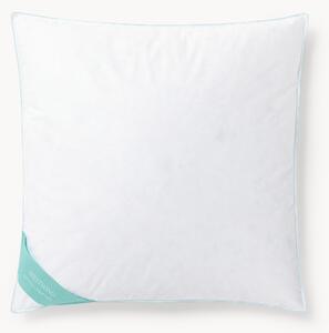 Vankúš z peria a páperia Comfort, stredný