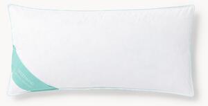 Vankúš z peria a páperia Comfort, stredný
