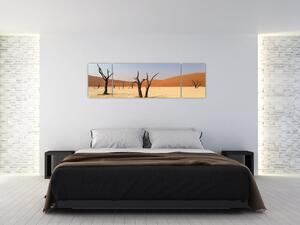 Obraz púšte (Obraz 170x50cm)