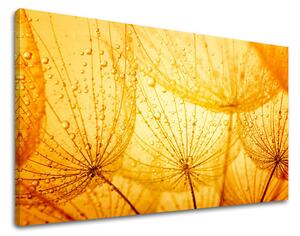Obraz na stenu KVETY - 20x30 cm