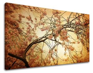 Obraz na stenu KVETY - 40x60 cm