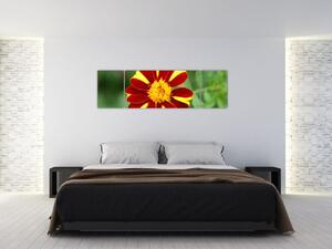 Obraz kvety na stenu (Obraz 170x50cm)