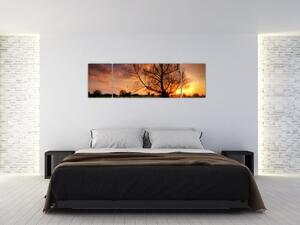Západ slnka, obrazy (Obraz 170x50cm)