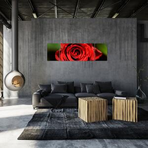 Obraz ruže (Obraz 170x50cm)