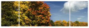 Jesenná krajina, obraz (Obraz 170x50cm)