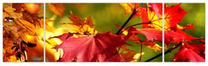 Jesenné lístie, obraz (Obraz 170x50cm)
