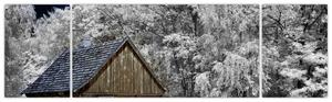 Chaloupka v zime, obrazy (Obraz 170x50cm)