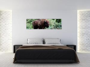 Obraz s americkým bizónom (Obraz 170x50cm)