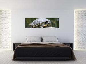 Obraz suchozemské korytnačky (Obraz 170x50cm)
