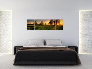 Západ slnka v krajine, obrazy (Obraz 170x50cm)