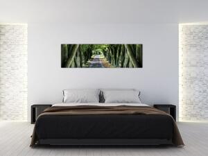 Údolie stromov, obrazy (Obraz 170x50cm)