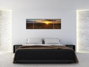 Západ slnka na poli - obraz na stenu (Obraz 170x50cm)