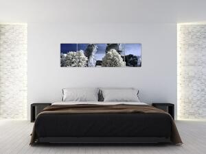 Zimná krajina - obraz do bytu (Obraz 170x50cm)
