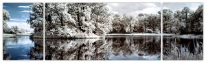 Zimná krajina - obrazy (Obraz 170x50cm)