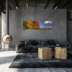 Jesenné stromy - obraz (Obraz 170x50cm)