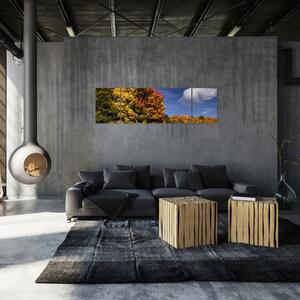 Jesenné stromy - moderný obraz (Obraz 170x50cm)
