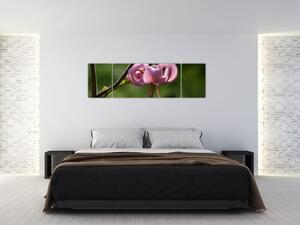 Obraz kvety (Obraz 170x50cm)