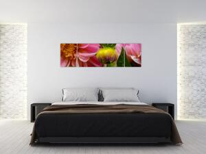 Obraz kvetu rastliny (Obraz 170x50cm)