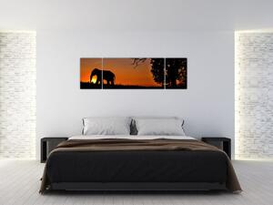 Obraz slona v prírode (Obraz 170x50cm)