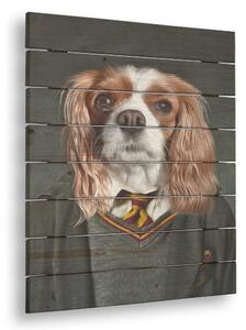 Obraz na dreve zvierací portrét Harry - 40x55 cm | rôzne uniformy - uniforma 1