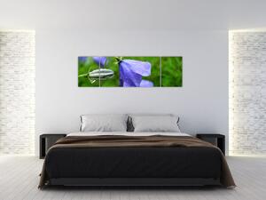 Obrazy kvetiny (Obraz 170x50cm)