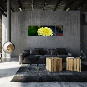 Obrazy kvetiny (Obraz 170x50cm)