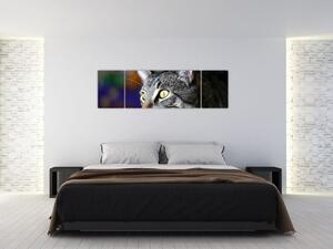 Mačka - obraz (Obraz 170x50cm)