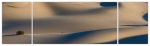 Púšť - obraz (Obraz 170x50cm)