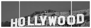 Nápis Hollywood - obraz (Obraz 170x50cm)