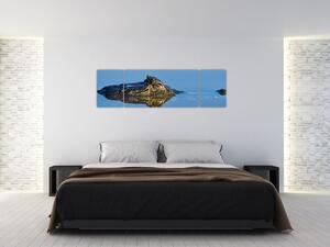 Ostrov - obraz (Obraz 170x50cm)