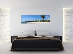 Exotická pláž - obraz (Obraz 170x50cm)
