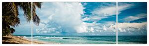 Pláž - obraz (Obraz 170x50cm)
