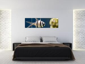 Ryba - obraz (Obraz 170x50cm)