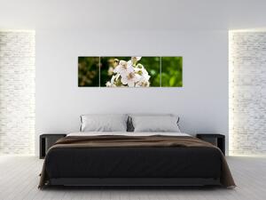 Kvetina - obraz (Obraz 170x50cm)