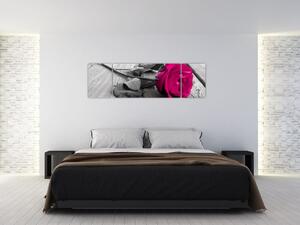 Ruže fialová - obraz (Obraz 170x50cm)