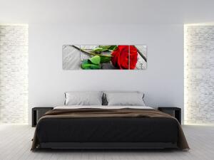 Ruža červená - obraz (Obraz 170x50cm)