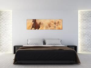 Cválajúci kôň - obraz (Obraz 170x50cm)