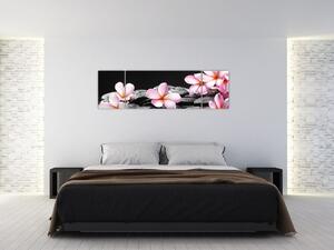 Kvety - obraz (Obraz 170x50cm)