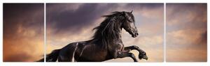 Kôň - obraz (Obraz 170x50cm)