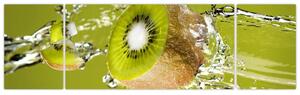 Kiwi - obraz (Obraz 170x50cm)