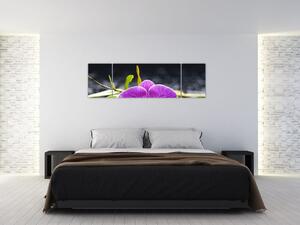 Kvet orchidey - obraz (Obraz 170x50cm)