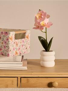 Sinsay - Dekoratívna rastlina v kvetináči – orchidea - pastelová ružová