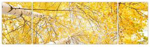 Jesenné lístie - moderný obraz (Obraz 170x50cm)