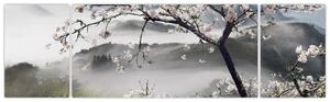 Sakura - obraz (Obraz 170x50cm)