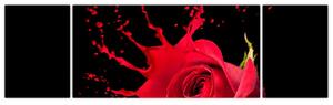 Abstraktný obraz ruža - obraz (Obraz 170x50cm)