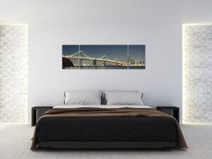 Fotka mosta - obraz (Obraz 170x50cm)