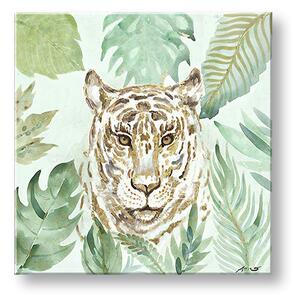 Obraz na plátne LEOPARD - 50x50 cm