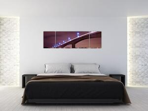 Nočná most - obraz (Obraz 170x50cm)